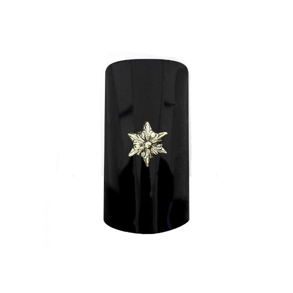 nagel inlay star