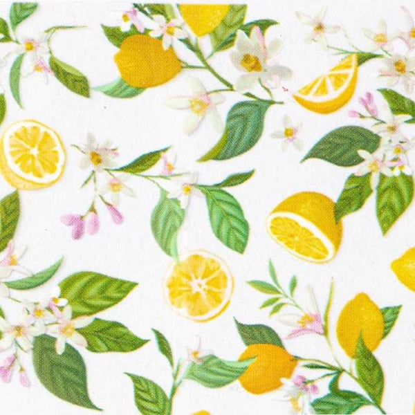 Transferfolie Just Summer - 10