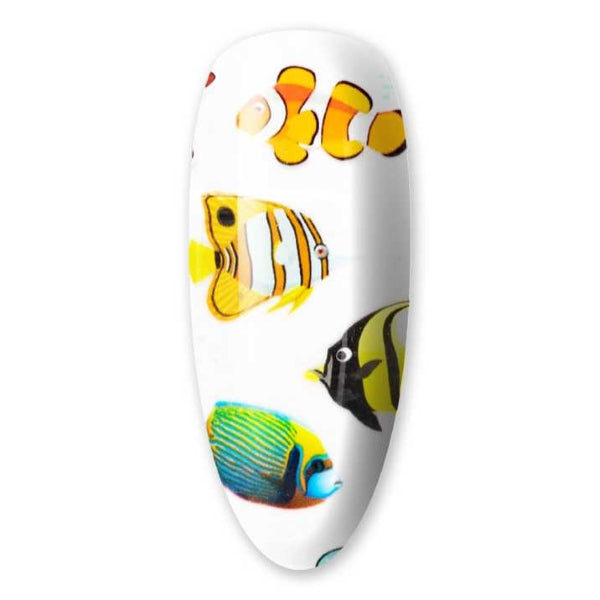 Transferfolie Nemo