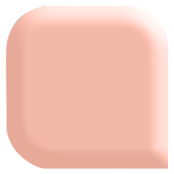 Acryl Poeder - Nail Perfect - Makeover Pink
